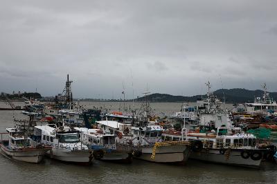 태풍 볼라벤 대비 어선대피