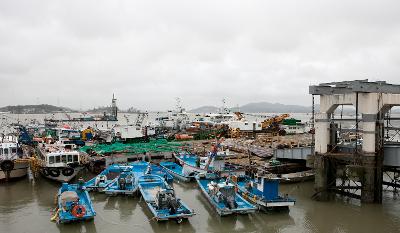 태풍 볼라벤 대비 어선대피