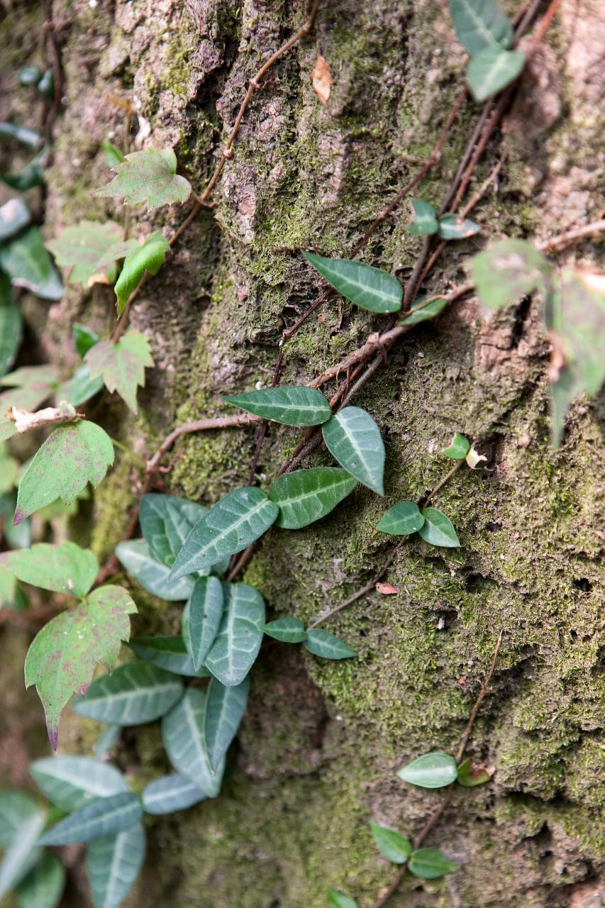 청암산