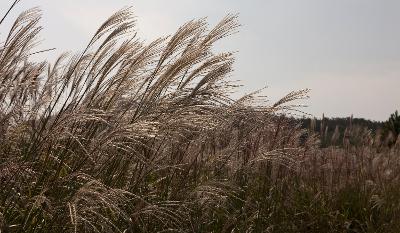 청암산