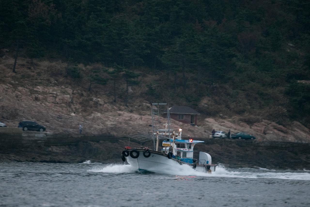 새만금 바다낚시 대회