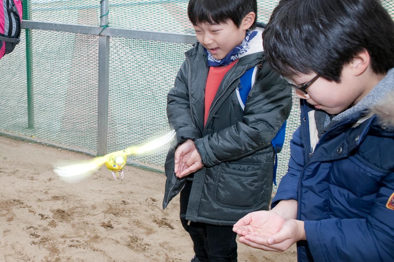 군산세계철새축제에서 새에게 먹이를 주는 모습