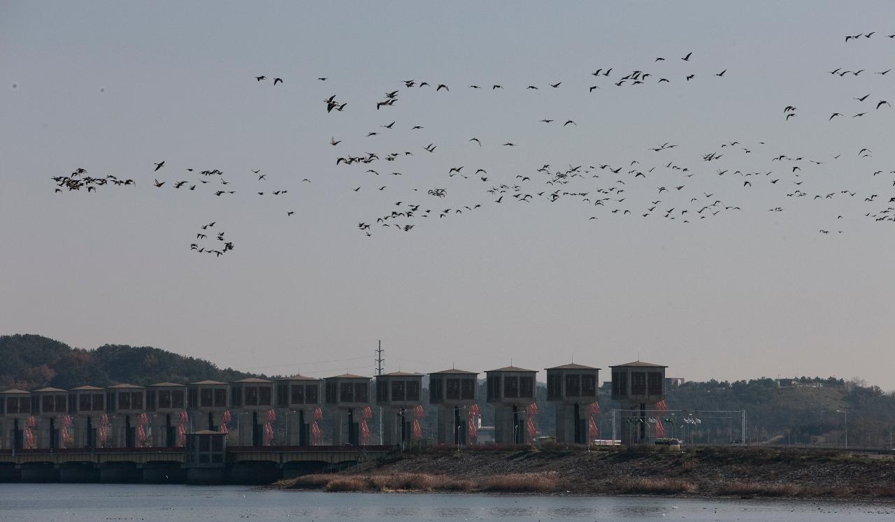 서천철새축제 개막식 참관