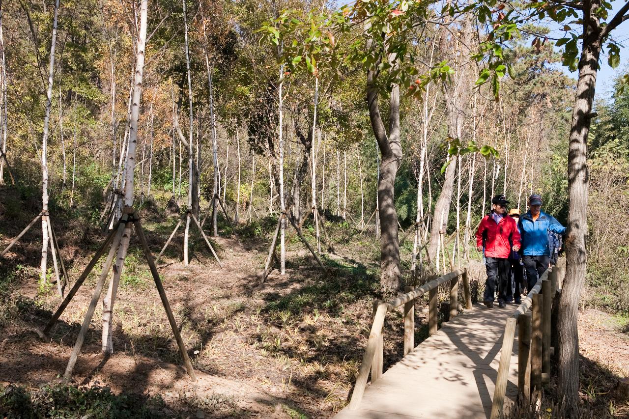 청암산 구슬뫼 등산축제