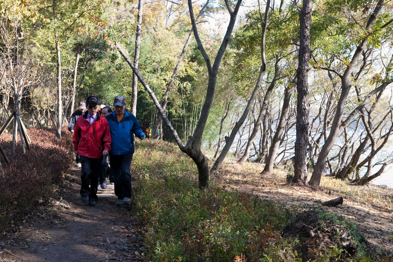 청암산 구슬뫼 등산축제