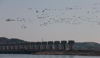 서천철새축제 개막식 참관