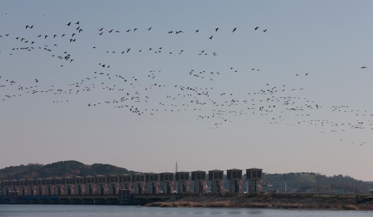 서천철새축제 개막식 참관