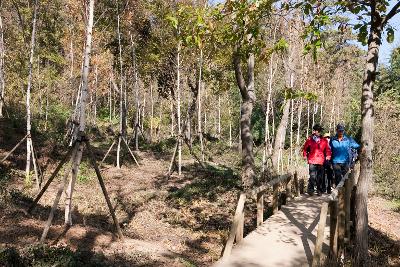 청암산 구슬뫼 등산축제