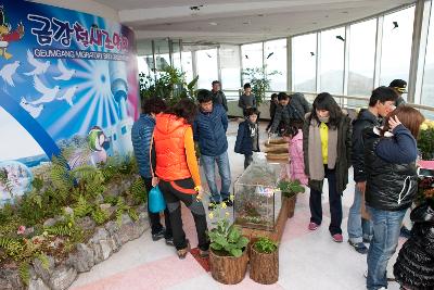 군산세계철새축제 철새조망대를 관람하는 관광객