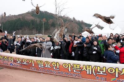 철새축제 개막식 철새 날리기