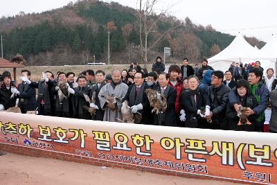 철새축제 개막식 철새 날리기