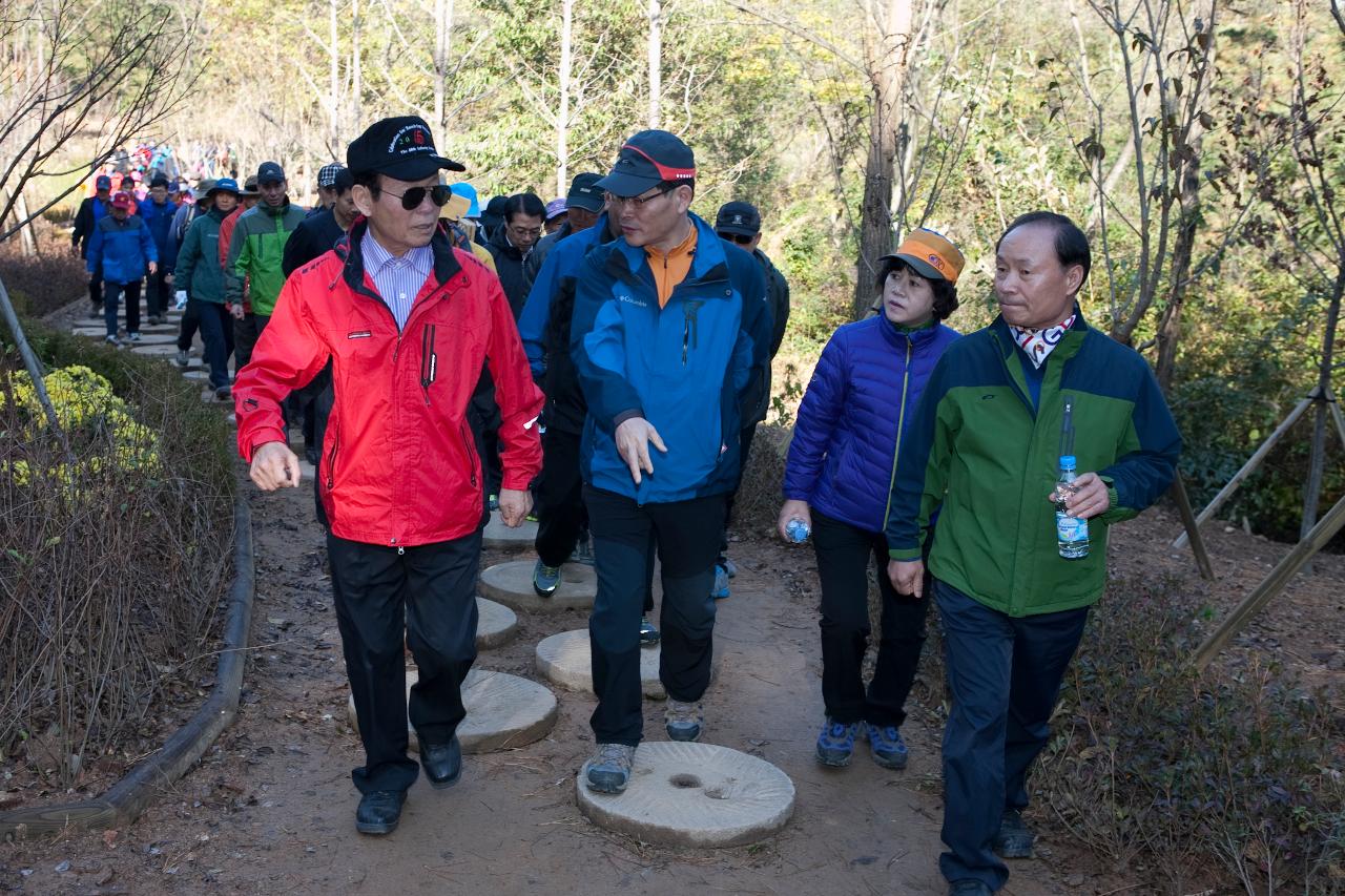 청암산 구슬뫼 등산축제