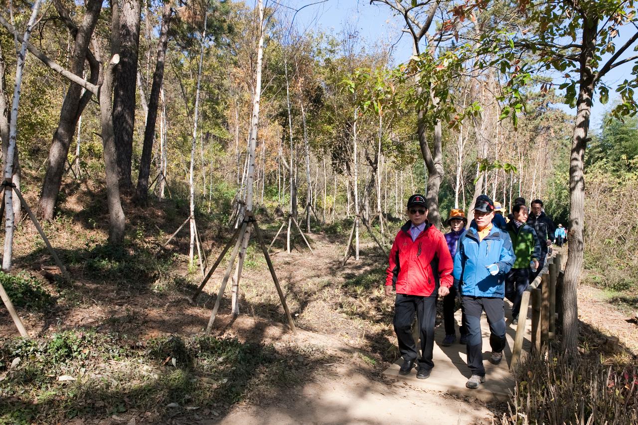 청암산 구슬뫼 등산축제