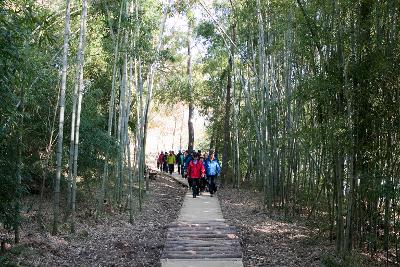 청암산 구슬뫼 등산축제