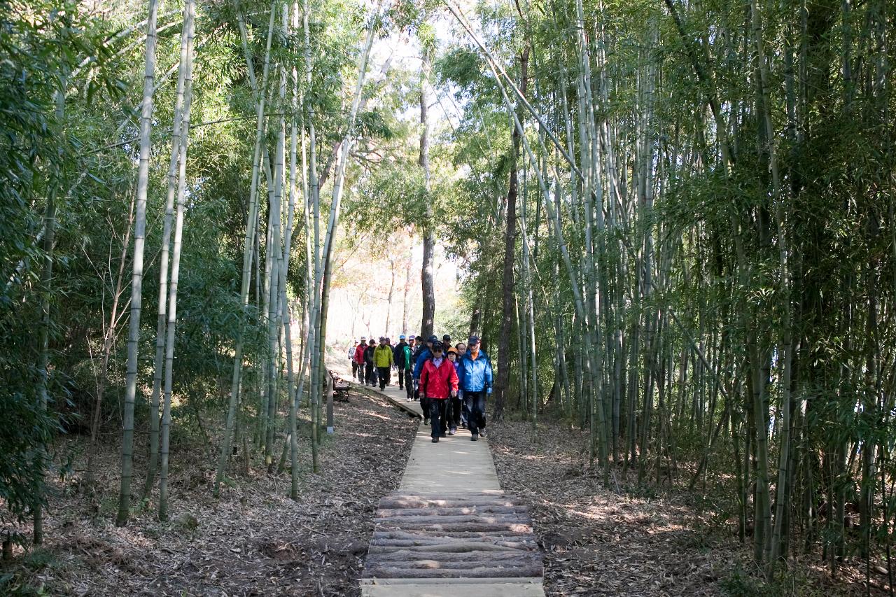 청암산 구슬뫼 등산축제