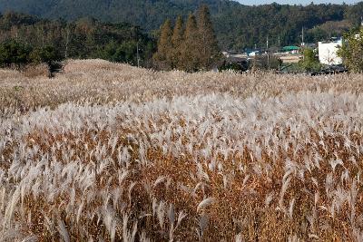 청암산 구슬뫼 등산축제