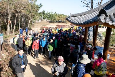 청암산 구슬뫼 등산축제