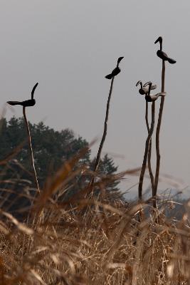 군산세계철새축제장을 꾸민 솟대 모습