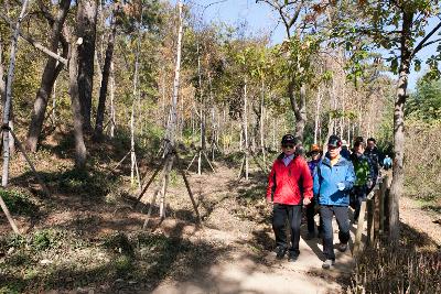 청암산 구슬뫼 등산축제