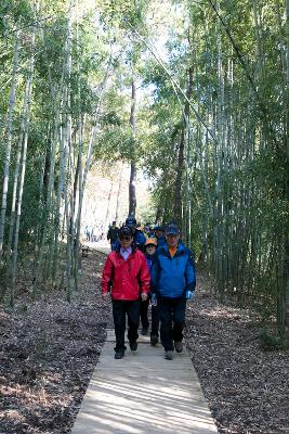 청암산 구슬뫼 등산축제