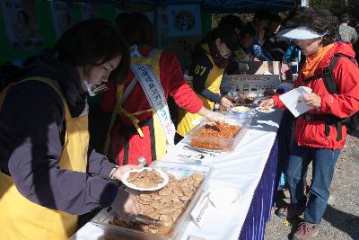 청암산 구슬뫼 등산축제