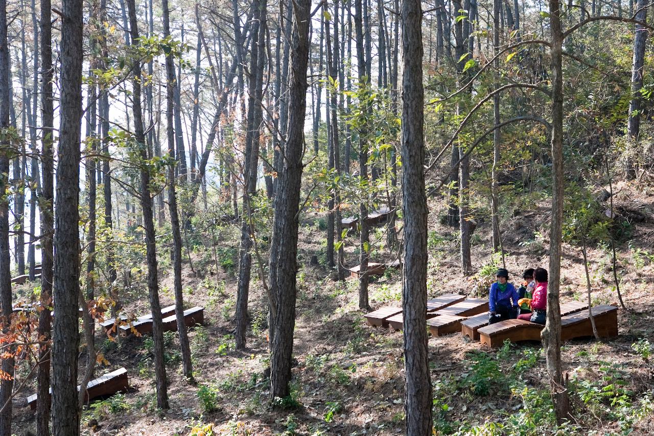 청암산 구슬뫼 등산축제