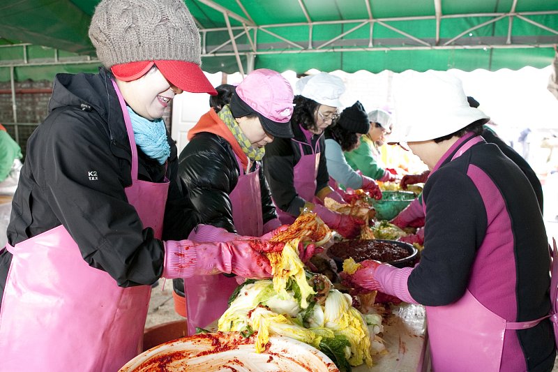 군산시여성자원봉사회의 절인 배추에 김치 소를 고루 섞어주고 있다