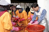 군산시여성자원봉사회와 군산시의회 행정복지위원회 의원들이 함께 사랑의 김치를 담그고 있다사진(00002)