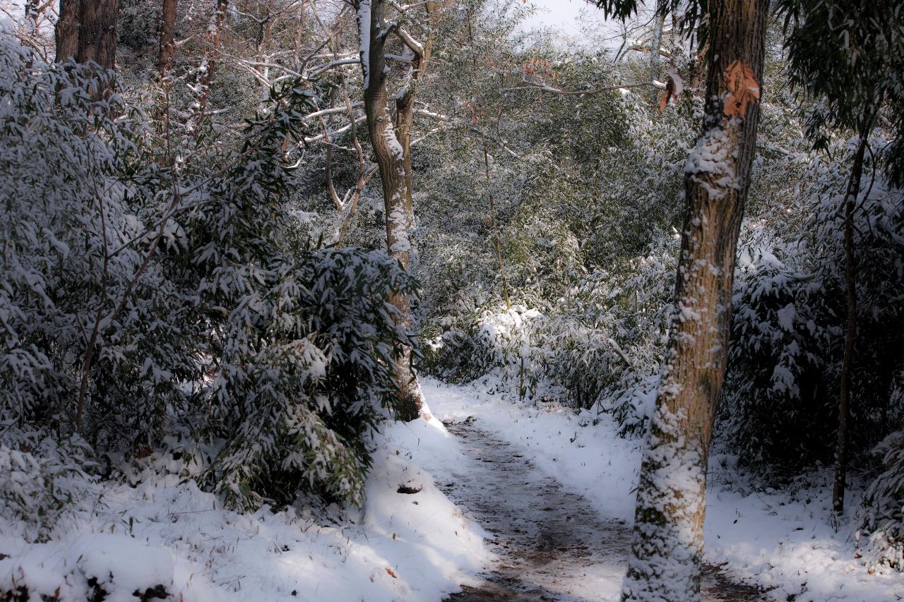 청암산 설경