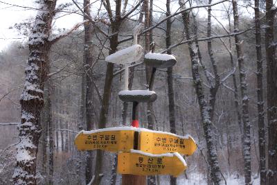 청암산 설경