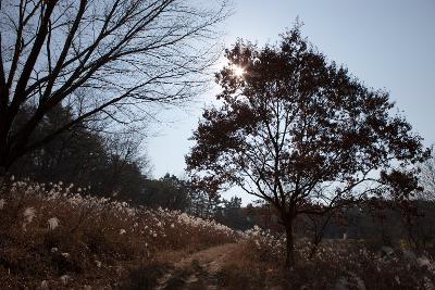 청암산