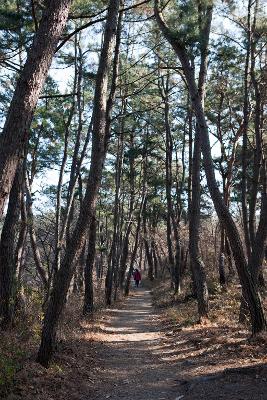 청암산