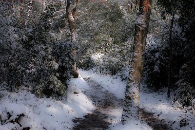 청암산 설경