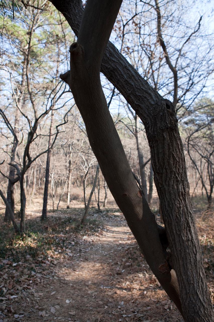 청암산