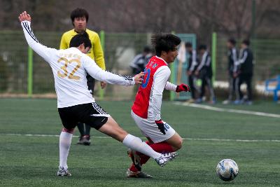 금석배 전국학생축구 대회