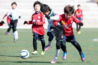 금석배 전국학생축구 대회