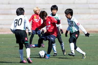 금석배 전국학생축구 대회