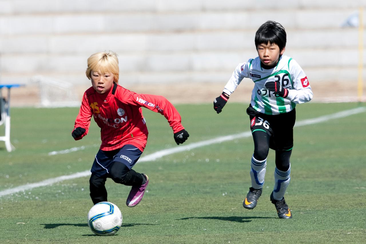 금석배 전국학생축구 대회