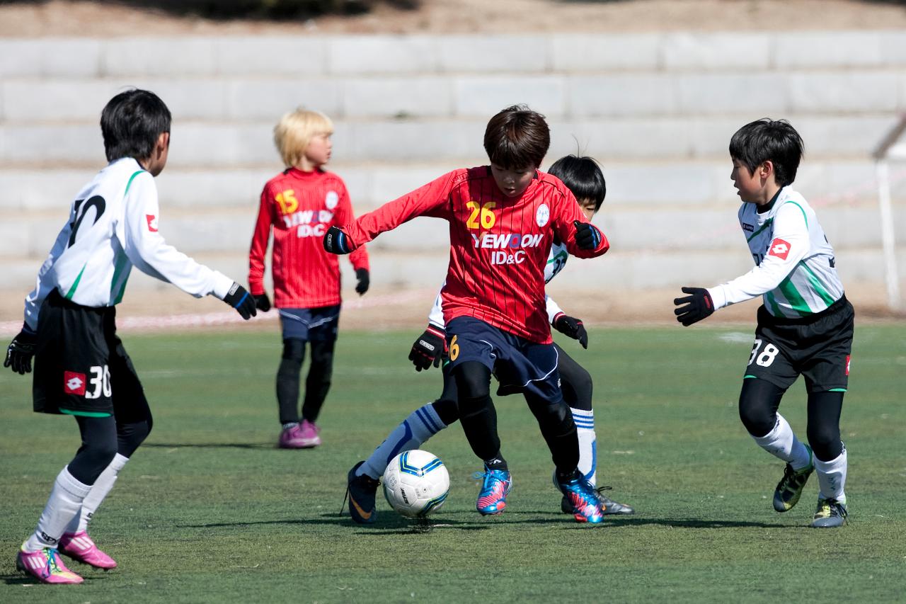 금석배 전국학생축구 대회