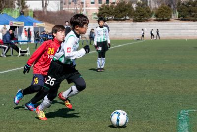 금석배 전국학생축구 대회