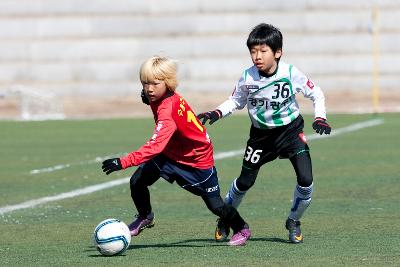 금석배 전국학생축구 대회