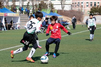 금석배 전국학생축구 대회