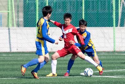 금석배 전국학생축구 대회