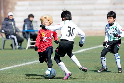 금석배 전국학생축구 대회