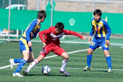 금석배 전국학생축구 대회