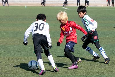 금석배 전국학생축구 대회