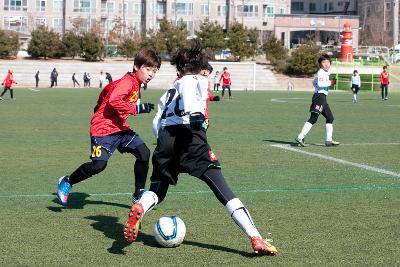 금석배 전국학생축구 대회