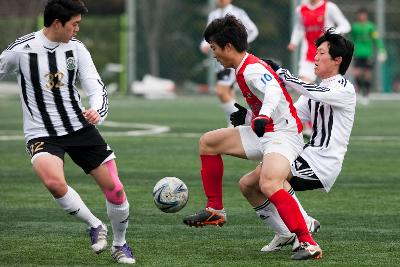 금석배 전국학생축구 대회