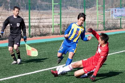 금석배 전국학생축구 대회