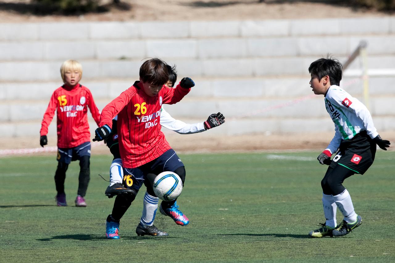 금석배 전국학생축구 대회